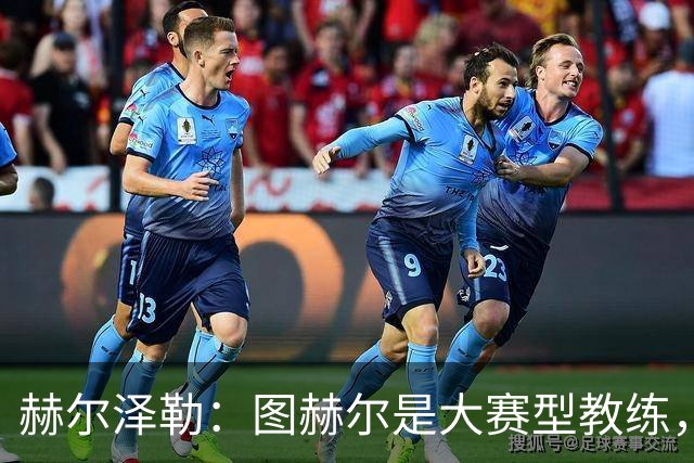 赫尔泽勒：图赫尔是大赛型教练，他为英格兰队带回了团结精神